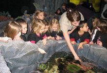 Marine Life Education